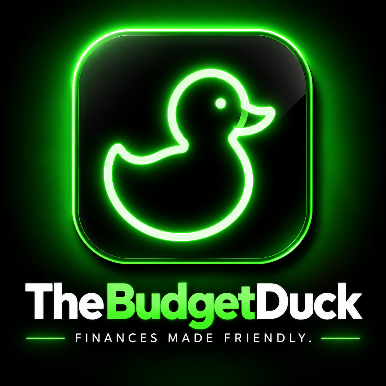Budget Duck